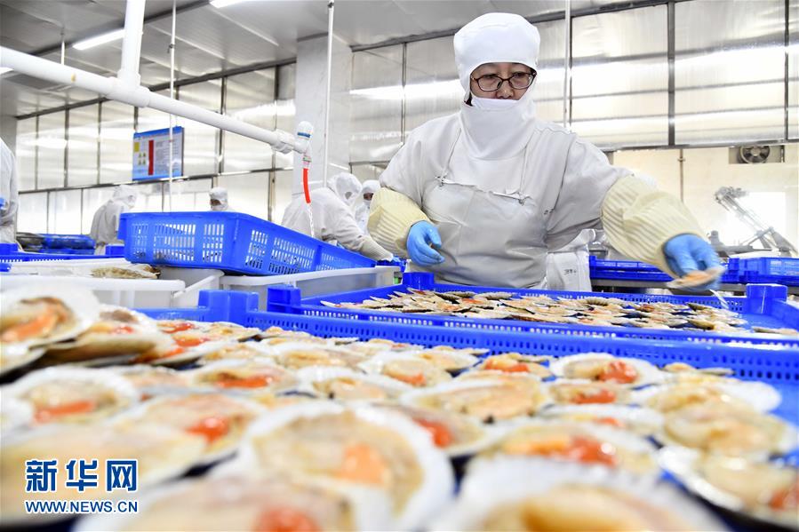積極發展海洋食品加工產業，構建全產業鏈協同發展新格局